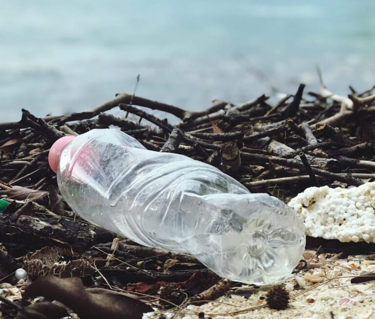 Nicht ins Abwasser bitte!